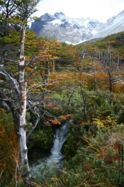 patagoniaphotos:  Parque National Torres