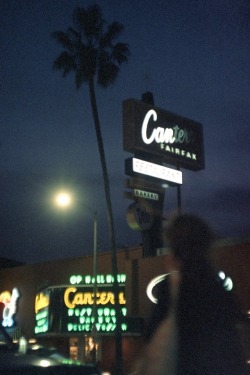 lazybonecafe:  kodak vision3 500t | leica