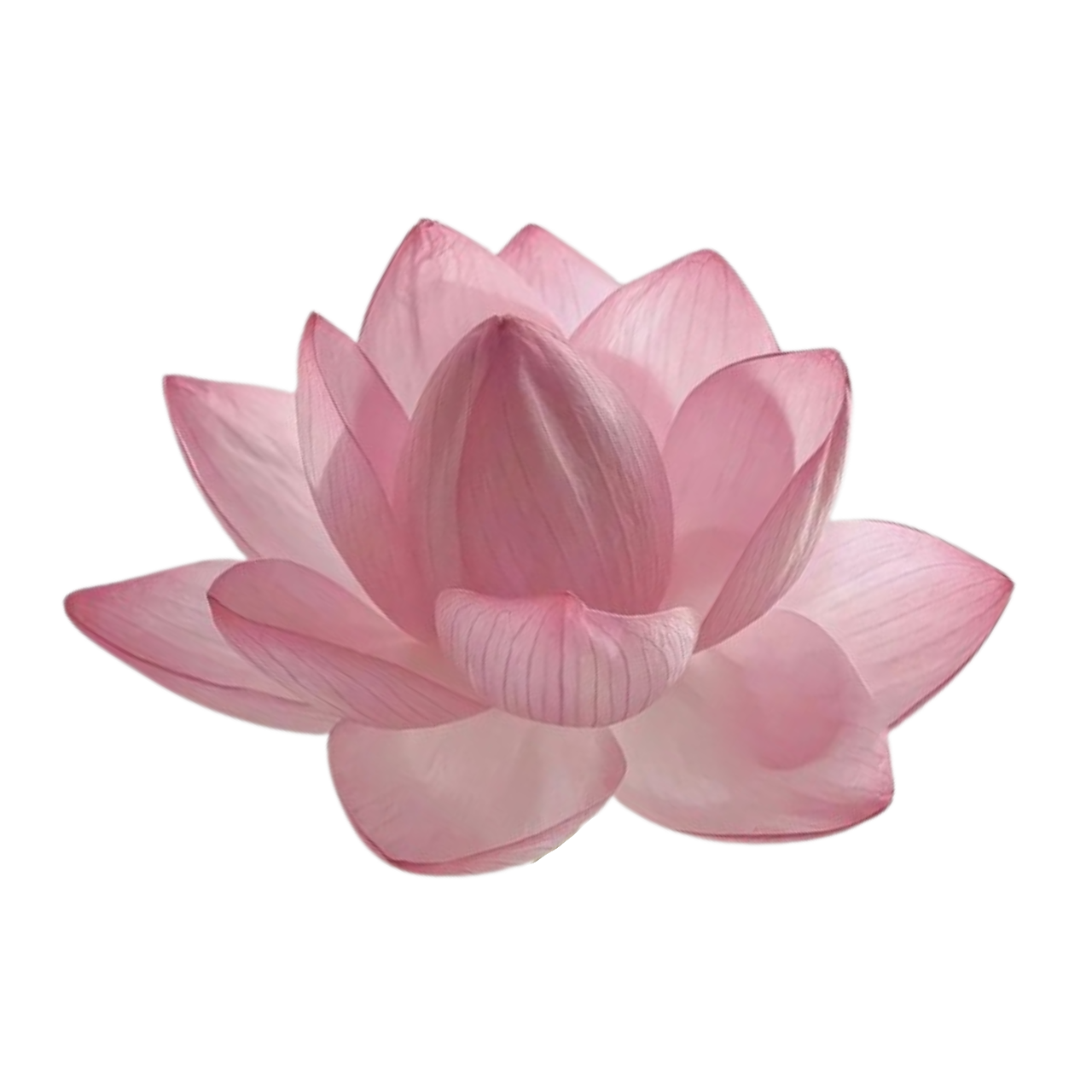 pink flower