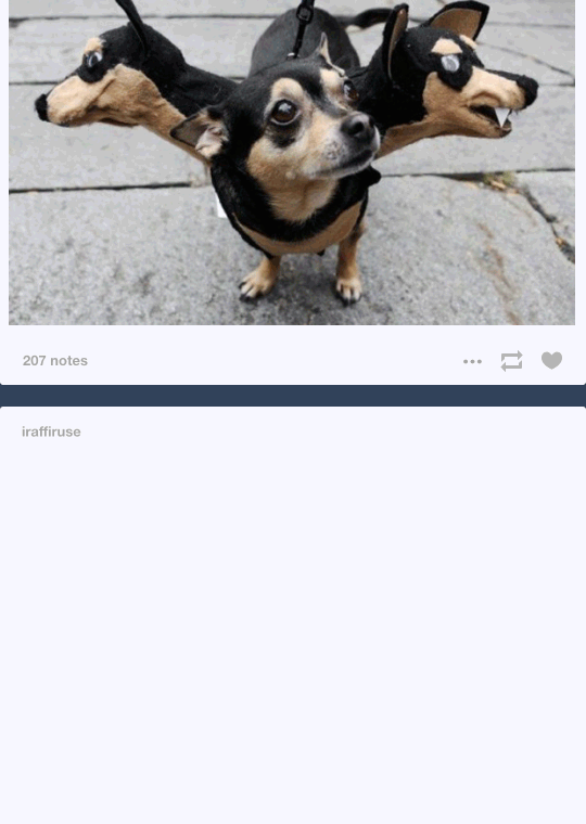cenoura-pra-lhamas:   