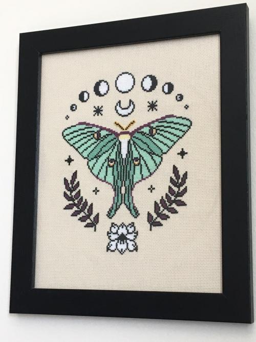 crossstitchworld:My take on the Luna Moth from HarpSealCrossStitch is finished at last! by  Kalcedon