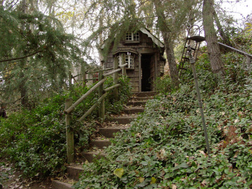 odditiesoflife: A House In the Woods &ldquo;I went to the woods because I wished to live deliber