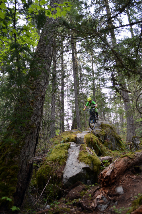 rollingontwo: My buddy Alex bringing his trials skills to the woods up in Pemberton a few weeks back