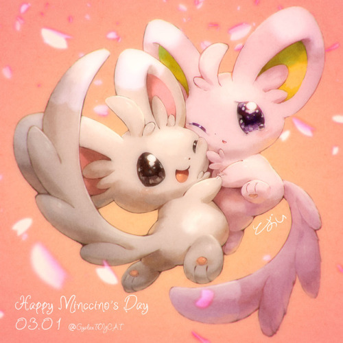 Happy Minccino’s Day !!