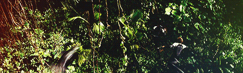  Catching Fire + running         
