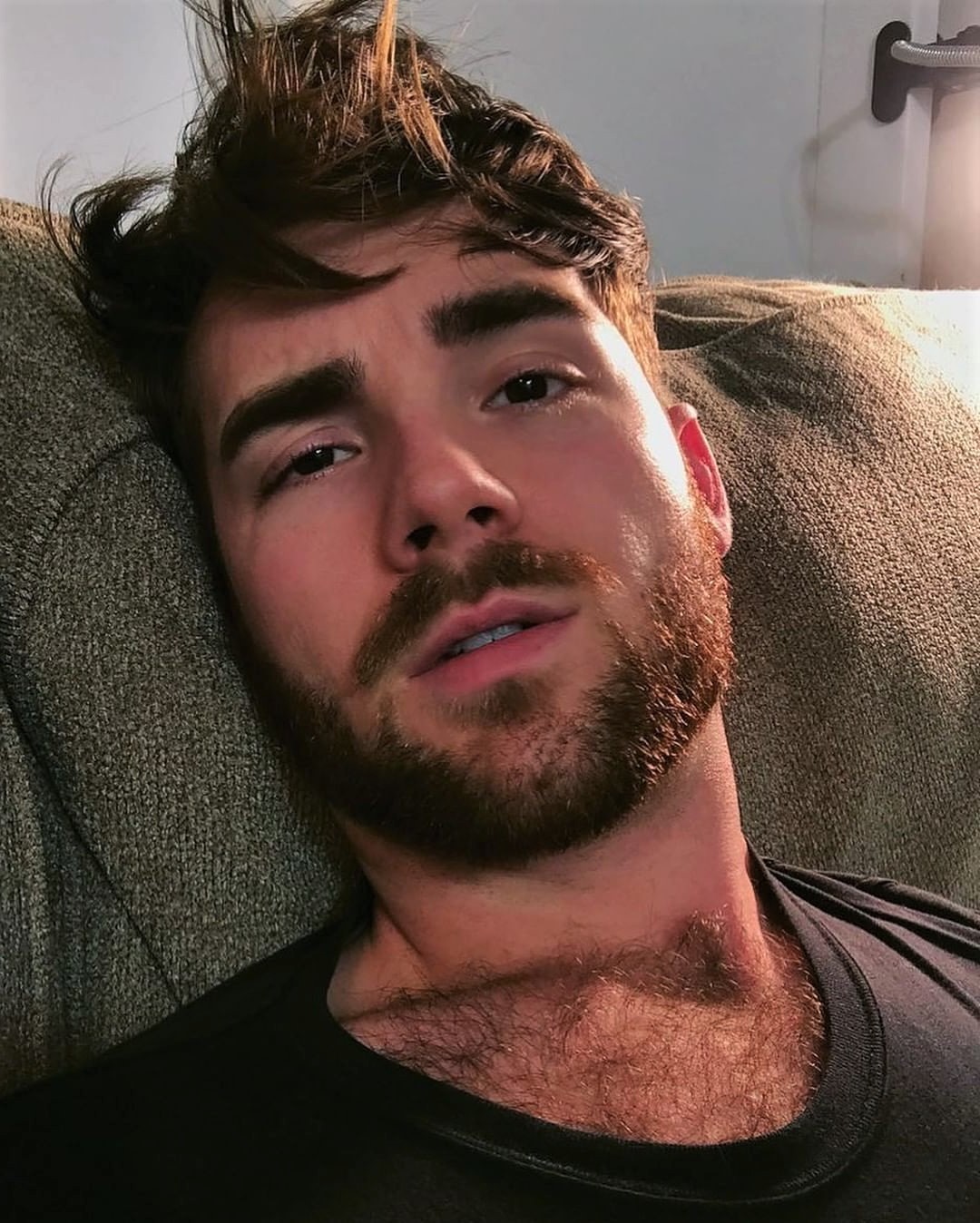 Hairy Dudes & Company