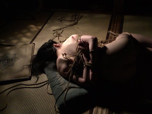 justscreenshots:Shibari Naka AkiraModel Haruka