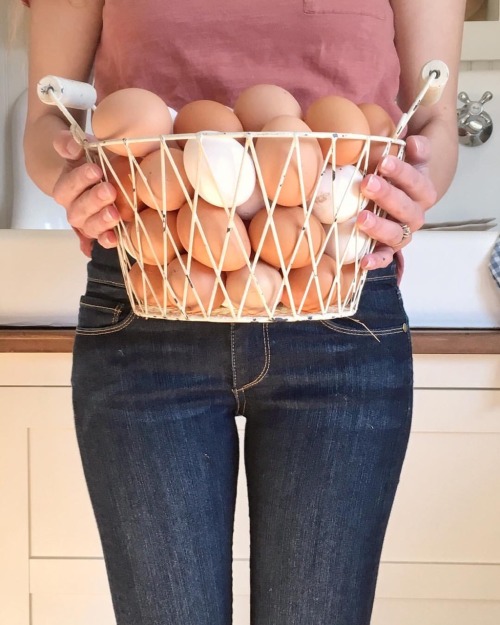 oldfarmhouse: Fresh Farm Eggs (Wisconsin) Littlemissfarmhouse @instagram What a blog! Megs top five 