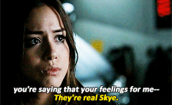 Marvel's Agents of Shield Fan