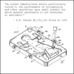 circumcisionrequired: drspocksaidso:  circumcisionrequired:  varj21:   cutcocklover:  Anesthetic should never be used.  Circumcision of the body and the mind   The pain helps program the mind against masturbation  The first place many of us felt held