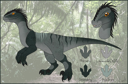 Utah Raptor Explore Tumblr Posts And Blogs Tumgir - roblox dinosaur simulator utahraptor