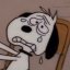 moominismad