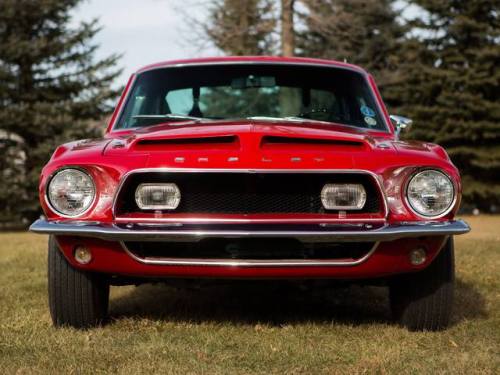 mustanglegendarymachine:1968   Cobra GT500KR  