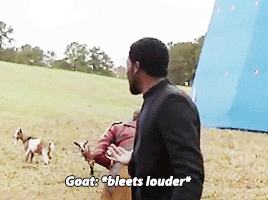 mamalaz:  Infinity War Bloopers (x) (All hail the true GOAT of the MCU) 