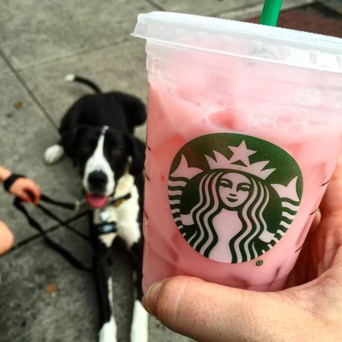 My two favorite things! My @starbucks and my lil man. So glad we got to go out today! Momma needed s