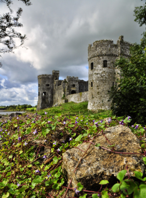 mythopoetical:Carew Castle, Pembrokeshire, Wales by Derby Tup Photos