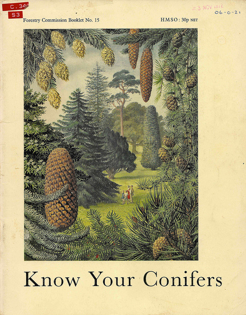 ajackdawintheattic:Know Your Conifers - Forestry…Charles Tunnicliffe