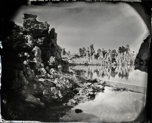 Mono Lake CA 7/2019 8 x10″ tintype