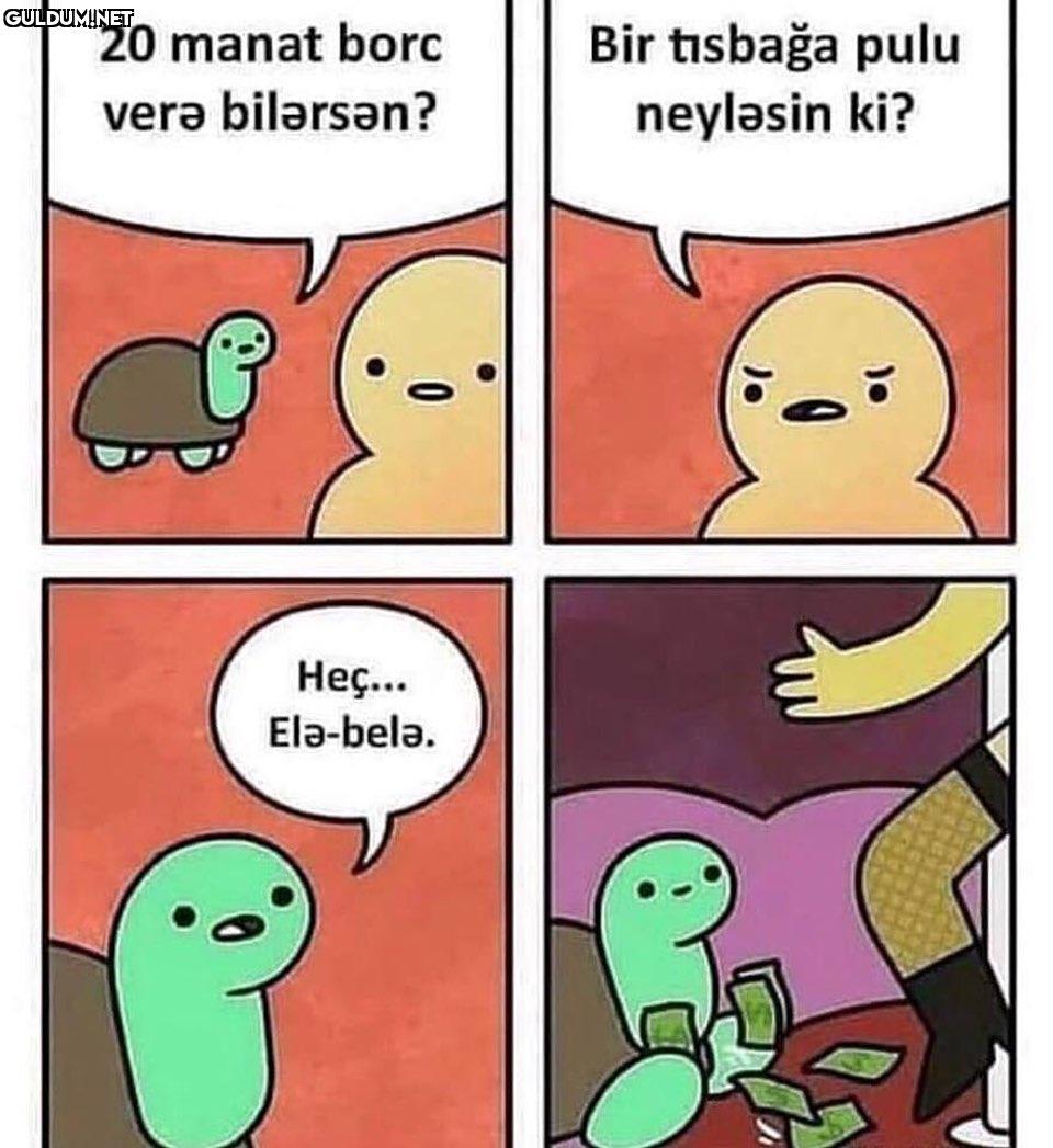 Ele belayız Bir tisbağa...