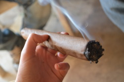 incredible-kush:  super blunt 