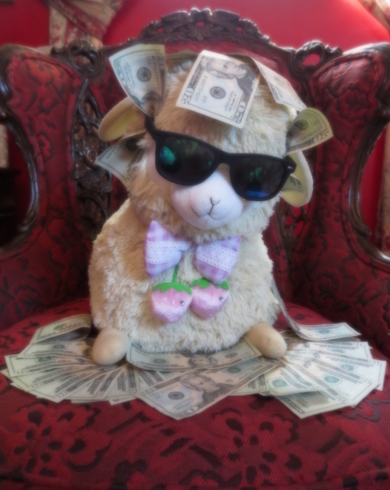 lapopearmadillo:  YOU HAVE BEEN VISITED BY THE BIG CASH MONEY ALPACA!!BIG CASH MONEY