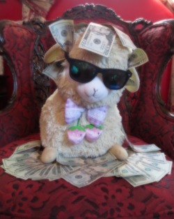 Lapopearmadillo:  You Have Been Visited By The Big Cash Money Alpaca!!Big Cash Money