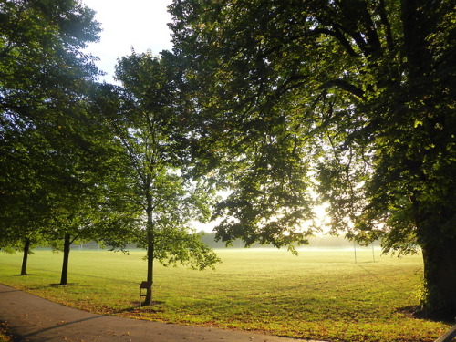 Glorious walk to work this morning - I love autumn