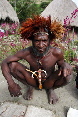     Papuan   Dani   man, via Yaiza Schmöhe Ollero.    