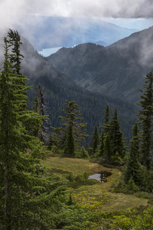 the-ravens-song-photography:  A Small Meadow 4,000 Feet Above Baker Lake (Fujifilm X-Pro 2, w/18-55 f2.8-4 @55mm, f9, 1/640, ISO 400)