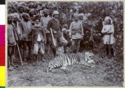 historicaltimes: Franz Ferdinand after a successful tiger hunt during his visit to India, 1893 via reddit Keep reading 