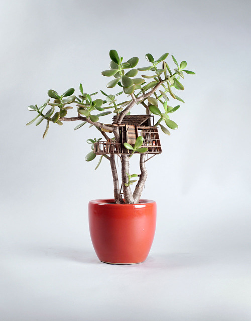 itscolossal: Miniature Treehouse Sculptures Built Around Houseplants by Jedediah Voltz