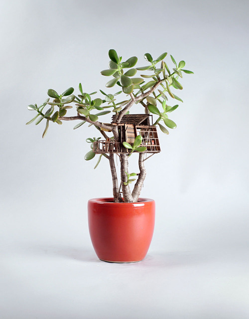 88floors:Miniature Treehouse Sculptures Built Around Houseplants by Jedediah Voltz