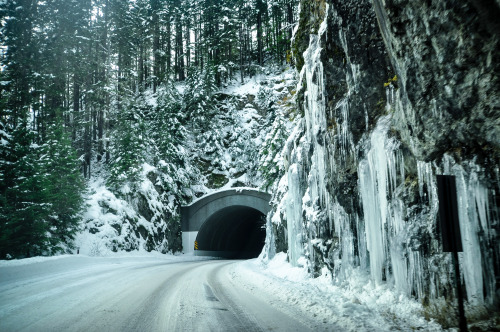 the lure of winter.mount rainier national park, washington.