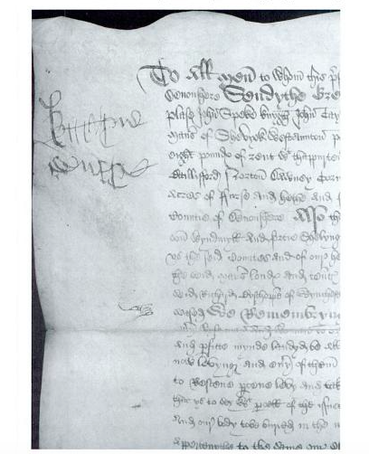 edwardslovelyelizabeth:  The date of Katherine Courtney (Katherine of York), Countess of Devon’s dea