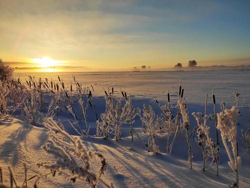 oneshotolive:  Cold winter morning sunrise