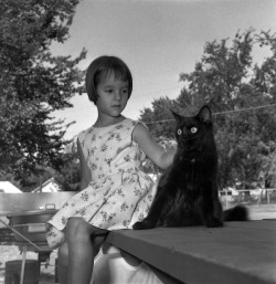 Vintage Cats and People