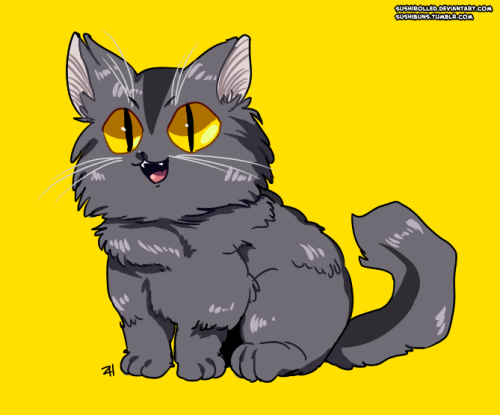 sushibuns:Graypaw
