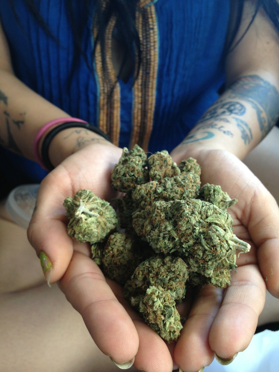 sunshine in a bag