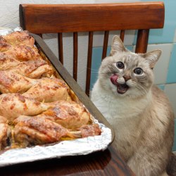 kaible:  s-purple:  Current mood.    russian food cat is one of the few things I want to exist on the internet forever for future generations to see 