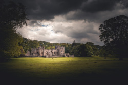 freddie-photography:  This is NorthumberlandFrom the mystery of countless castles, to the forests stradling barren moors, this is the hidden beauty of the county of Northumberland, England.By Freddie Ardley PhotographyWebsite | Facebook | Instagram |