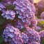 gentlehydrangea