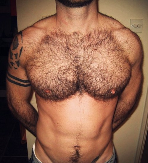 guysthatgetmehard:  so did he shave his belly to accentuate those hairy tits, or