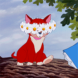 transmichaelscofield:  Alice in Wonderland (1951)
