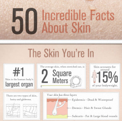 fighting-for-animals:  science-junkie:  50 Incredible Facts About Skin  Did you know that your skin is considered an organ? Or that every 28 days the skin renews itself? These fact and more can be found on the 50 Incredible Facts About Skin infographic