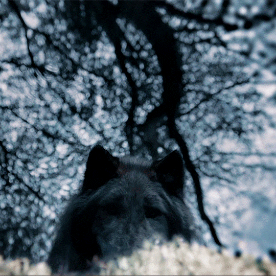 02fdec8e83ff972b9920c05df54b12ec391974be.gif