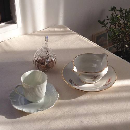 softfeline: rectoverso_paris