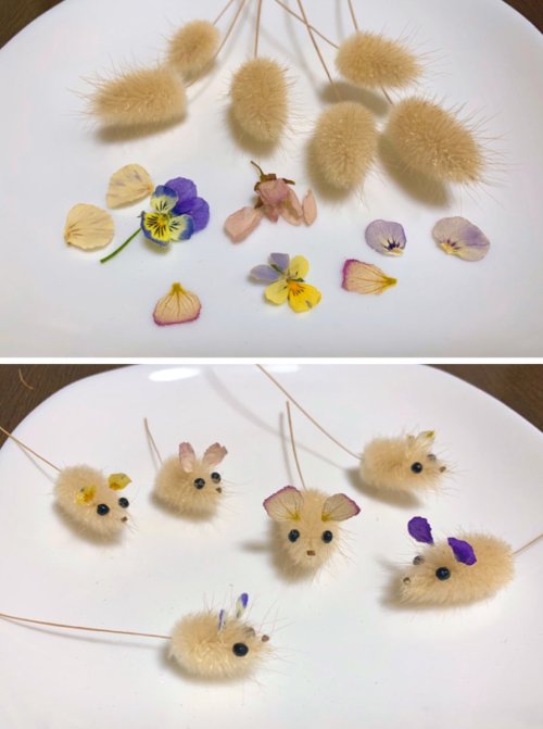 (inoriさんのツイート: &ldquo;春に収穫したラグラスでネズミを作りました。（年賀状の素材候補） ビオラ、ヒルザキツキミソウ、桜、スノードロップの花びら（ドライフラワー）で耳を作り、アカメガ
