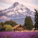 wisco-warrior:Mount Hood, Oregon