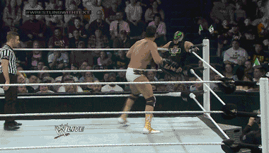 wrasslormonkey:  Shosh! (by @WrasslorMonkey)