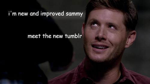 livebloggingmydescentintomadness:  masterosricchau:  When everyone logged onto Tumblr today.  